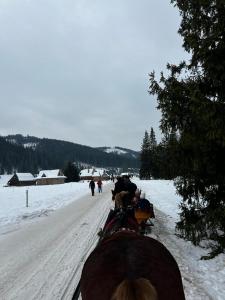 WhatsApp-Image-2026-01-23-at-20.51.51