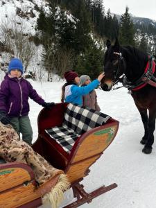 WhatsApp-Image-2026-01-23-at-20.51.53-1