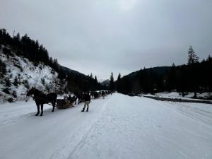 WhatsApp-Image-2026-01-23-at-20.51.54-1