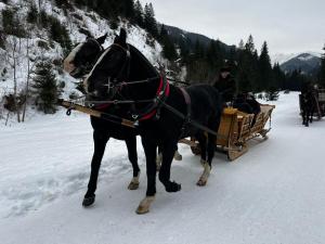 WhatsApp-Image-2026-01-23-at-20.51.54