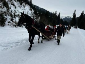 WhatsApp-Image-2026-01-23-at-20.51.57