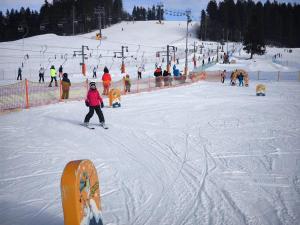 WhatsApp-Image-2026-01-23-at-20.14.13