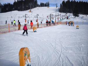 WhatsApp-Image-2026-01-23-at-20.14.18-5