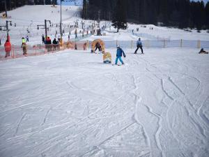 WhatsApp-Image-2026-01-23-at-20.14.18