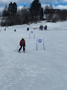 WhatsApp-Image-2026-01-24-at-17.43.15